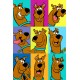 PP34640 SCOOBY DOO (THE MANY FACES OF SCOOBY DOO)