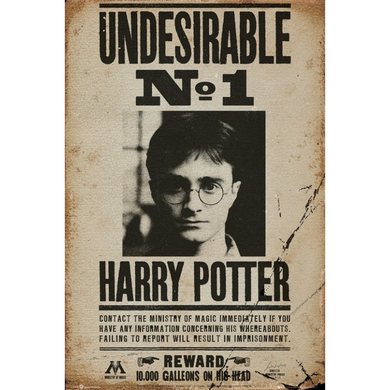FP3228 HARRY POTTER UNDESIRABLE NO 1