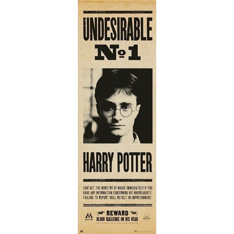 PPGE8031 HARRY POTTER UNDESIRABLE N°1